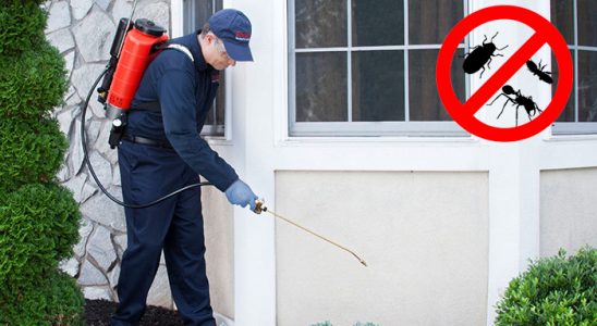 Mut Kemirgen İlaçlama böcek ilaçlama ve haşere kontrolü — ilaclama-tr.com